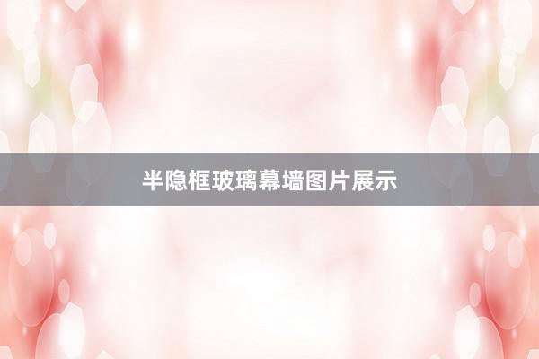 半隐框玻璃幕墙图片展示
