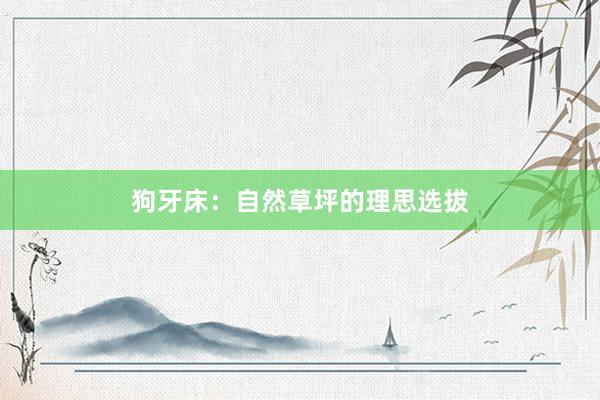狗牙床：自然草坪的理思选拔