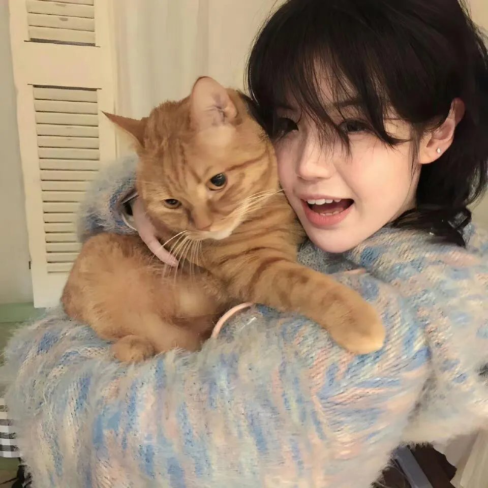 桃花映江山$花朝