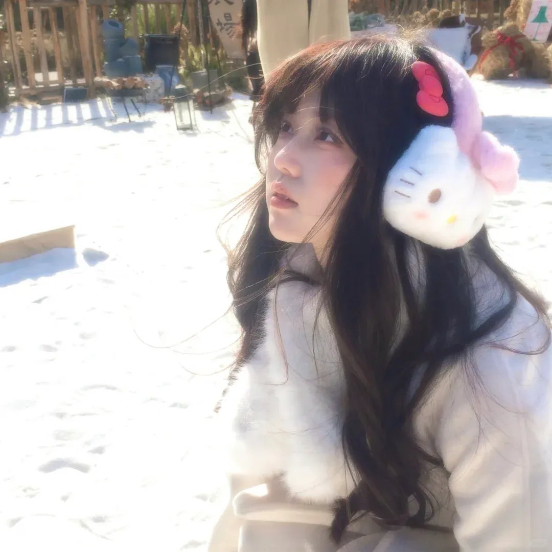 Y行动和舒立克的其它冒险